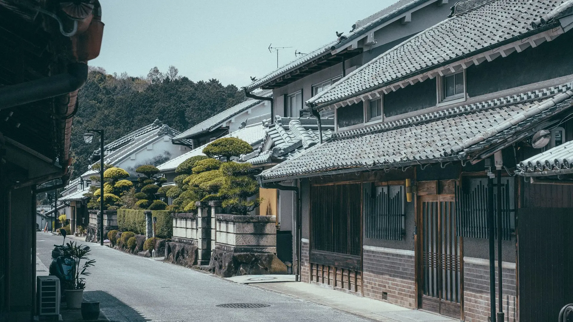 A peaceful street in Asuka-mura, Japan’s ancient capital, surrounded by traditional houses and rural charm